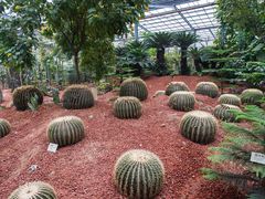-呀路古热带植物园