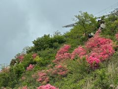 -木兰云雾山