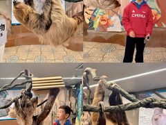 -正佳雨林生态植物园
