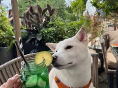 -Lets burger非常汉堡·环球风味(蓝色港湾店)