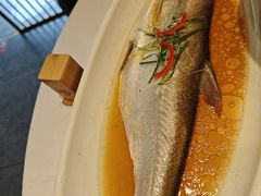 -聚鑫阁江浙菜·非遗传承技艺(闵行交大店)