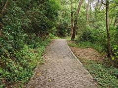 -青龙山国家森林公园