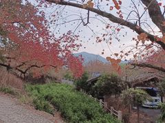 -塔川景区