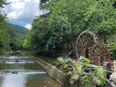 -广州白江湖森林公园