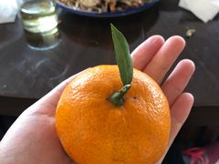 -乡乐园蟹庄·阳澄湖农家乐