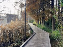 -昆山城市生态森林公园