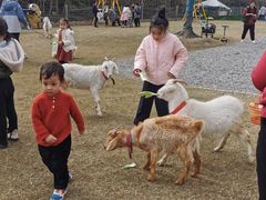 -前小桔亲子创意农场·草莓采摘·露营烧烤