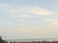 -宝安西湾红树林湿地公园