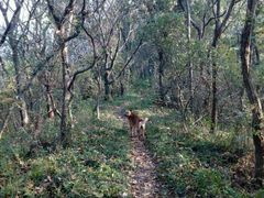 -华雅花园大酒店