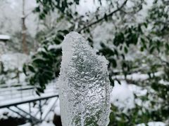 -龙苍沟森林公园