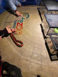 -酷嗒动物文化乐园(cutezoo西溪乐天城店)