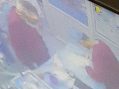 -天津前进宠物医院(前进道店)