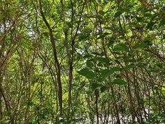 -辛玛王国游乐园