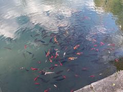 -黑龙潭公园