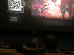 -红星电影世界上海张江绿地店