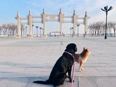 -天津妈祖文化园