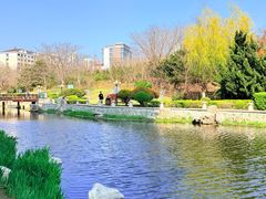 -丁家河公园