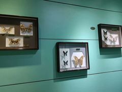 -上海昆虫博物馆
