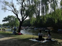 -上海长兴岛郊野公园