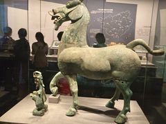 -广西壮族自治区博物馆