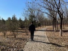 -东郊湿地公园