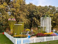 -上海共青森林公园