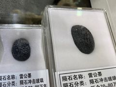 -志强陨石馆(双季花艺店)