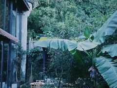 -Metal hands·铁手咖啡