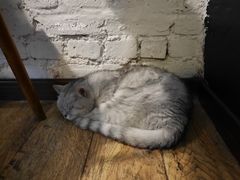 -不舍昼夜咖啡馆
