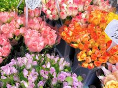 -循礼门鲜花花市(武汉循礼门店)