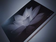 -德基艺术博物馆