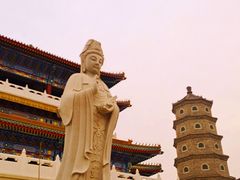 -天津大悲禅院