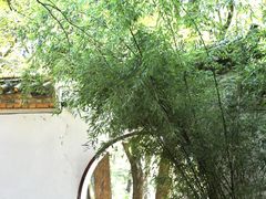 -昆明市金殿名胜区