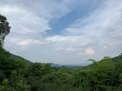-韬光茶庵
