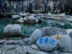 -地中海传奇水汇