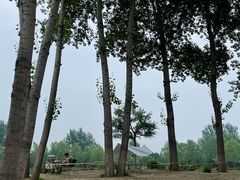 -东郊湿地公园