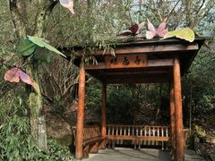 -天目湖山水园