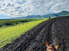 -新疆那拉提国家旅游度假区
