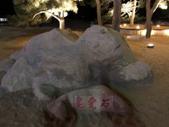 -老虎石海上公园