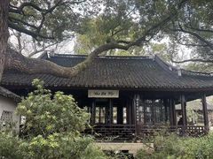 -上海醉白池公园