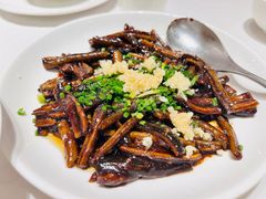 -新吉士·上海菜(浦东LCM置汇旭辉店)