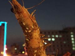 -望恋·天台音乐餐厅