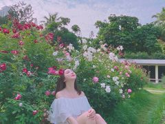 -人民公园(罗湖区)