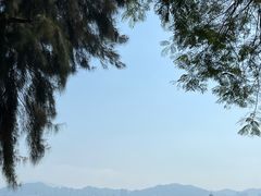 -鼓浪屿内厝澳码头(轮渡站)