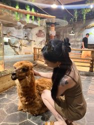 -Zoolung Zoolung动物主题公园(海信广场店)