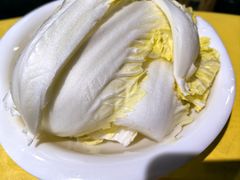 娃娃菜-巴壁馆(海棠花语店)
