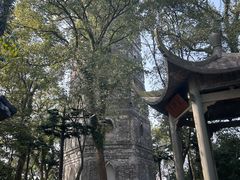 -江心屿景区