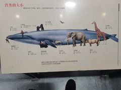 -浙江自然博物院(杭州馆)