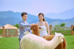 -金夫人婚纱摄影