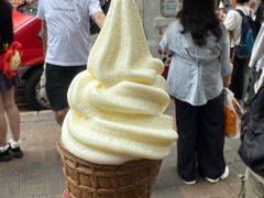 -富豪雪糕车流动点(尖沙咀店)